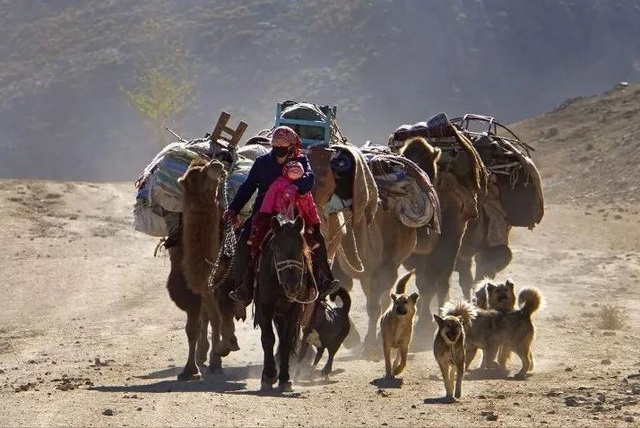 月薪8000留不住人，牧民靠万亩草场维生，新疆的上限下限超乎想象