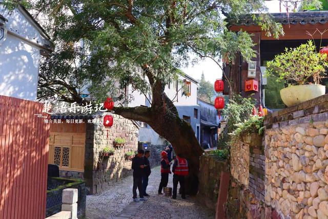 浙江宁波的又一个柿林山村，免费开放但是景色很美，游玩正当时