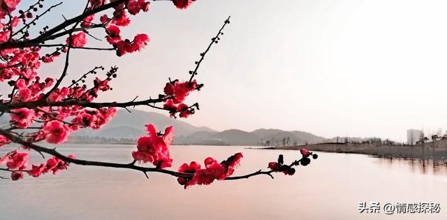 春风吻过杏花唇，谁的心事随柳絮飞？往事如烟，爱恨都在三月飘