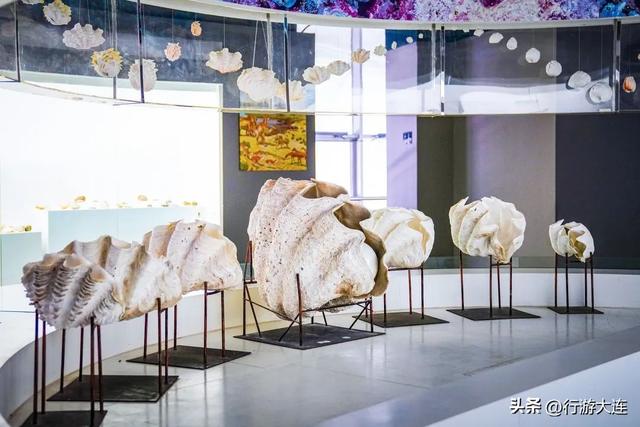 不用看天！大连这些地方，下雨也能玩得嗨~