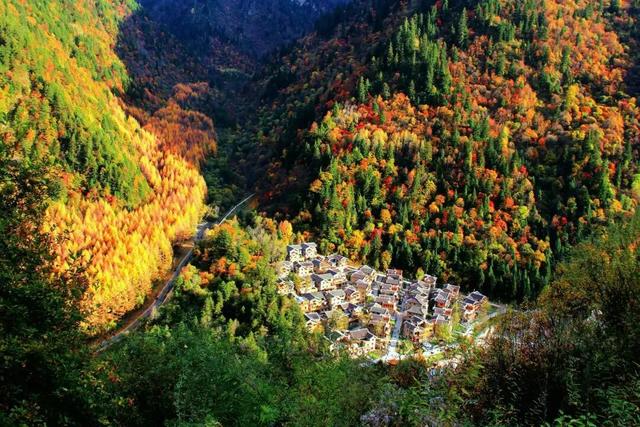 雪山作序 彩林入画 “阿坝冰雪之夜”发出最美秋日邀约