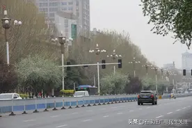 【石家庄裕华路：海棠花开迎宾来】图片