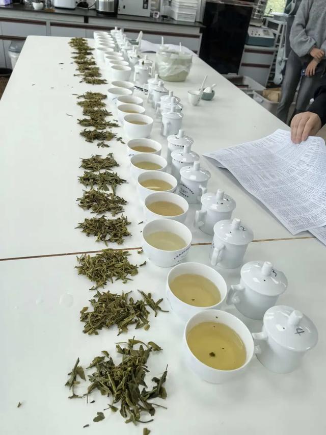 龙井茶:强化对电商平台的品牌管理