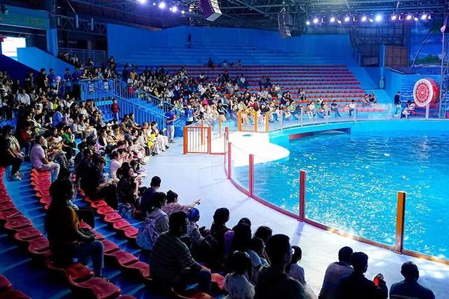 跟着上合马游昆明|跑友注意！这些景区免票！