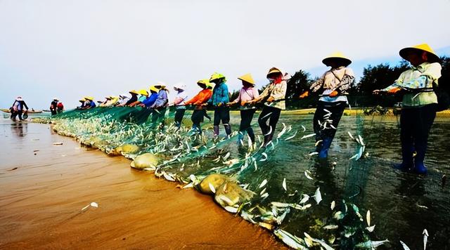广西东兴市历史沿革及行政区划