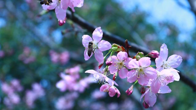 余生好好陪着妈妈，就像小时候妈妈陪着我一样……