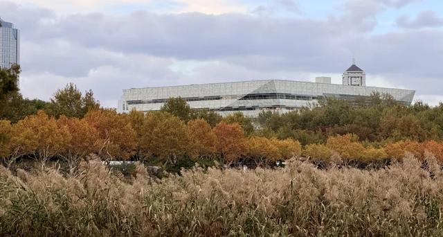 音乐体育双重奏:世纪公园打造多维体验场景