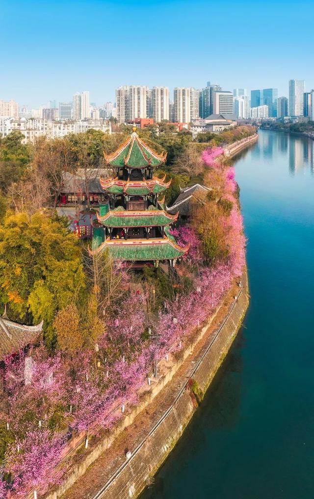 成都那些你以为很贵但全都免费的好去处！