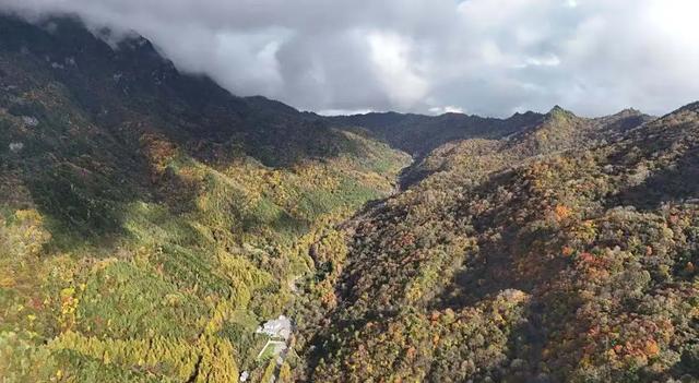谁说秋天只有凋零?紫柏山两日游攻略来了!