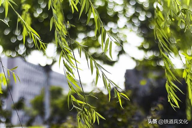 谁 病 了(小小说) 作者：李雪太