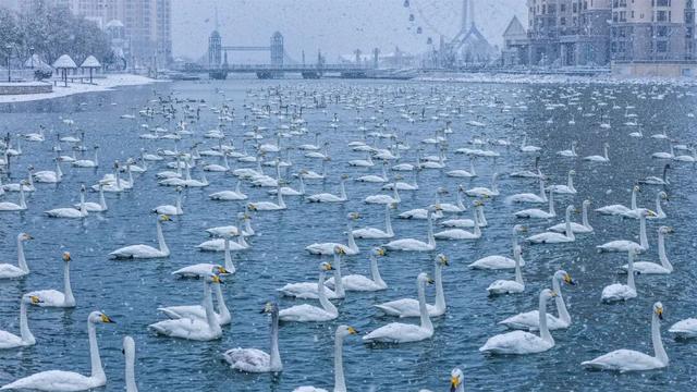 感恩同行！双十二那香海回馈威海市民，12月12日-18日探险世界免费畅玩！