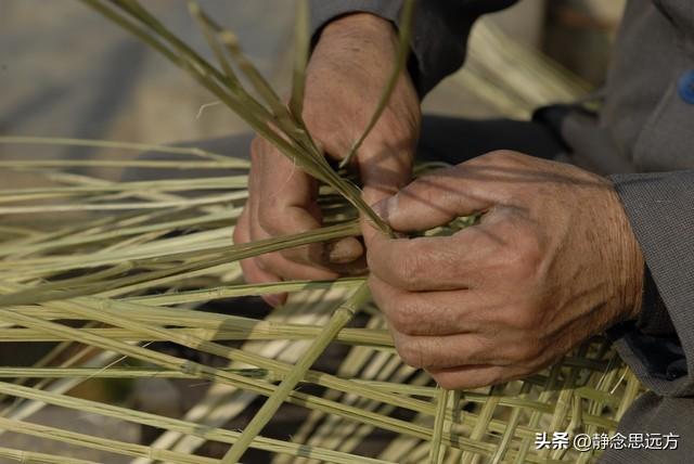 河南人去了淄博和滨州，直言不讳：淄博人和滨州人气质截然不同！