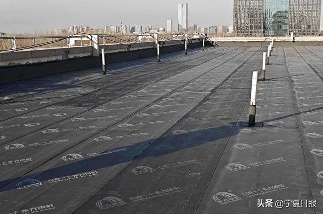 闭馆两个月后，宁夏图书馆焕新回归！这些改变很贴心→