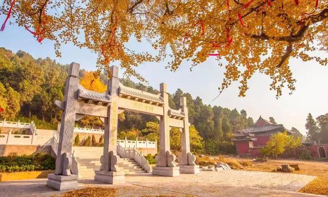 好客临沂放大招！“天赋一‘饼’”争霸赛主场开秀，景区+酒店优惠多到爆，等你来嗨！