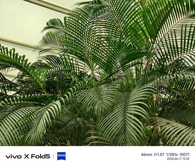 vivo X Fold5评测：苹果的好搭子