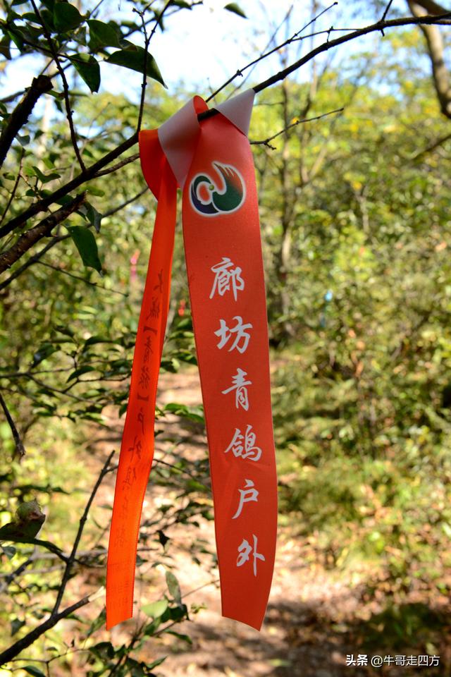 延庆应梦寺（五）：山巅极目收千嶂，林海听风涤尘心