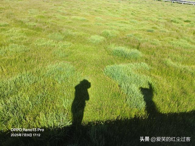 我的旅行日记——来到若尔盖花湖，不见漫天的花海