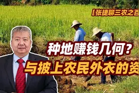 张捷财经观察 | 种地赚钱几何？与披上农民外衣的资本图片