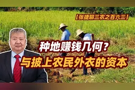 张捷财经观察 | 种地赚钱几何？与披上农民外衣的资本图片