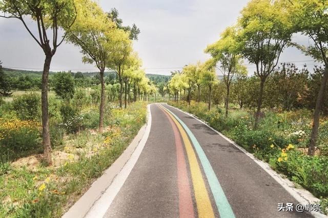 大磨山新生记——丛台区废弃矿山的生态蝶变