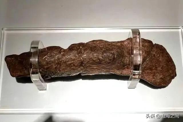 世界之大无奇不有，带你看不一样的奇闻趣事
