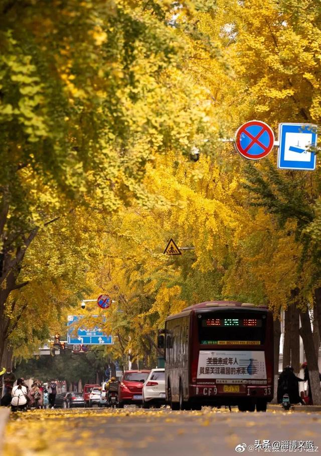 被淄博宠坏了！2026“爱你老己”，就照这样来🧡