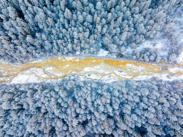 四川人盼初雪的心情谁懂！