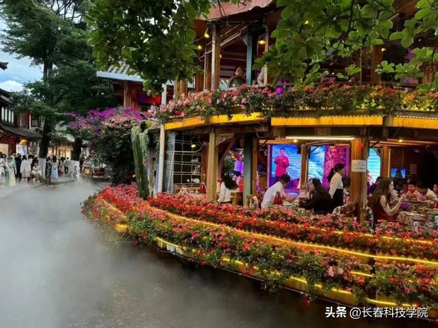 速报，你的暑假高光IP在哪里