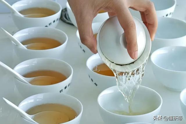 史上最全普洱茶盖碗冲泡测评！不同普洱茶怎么泡最好喝？