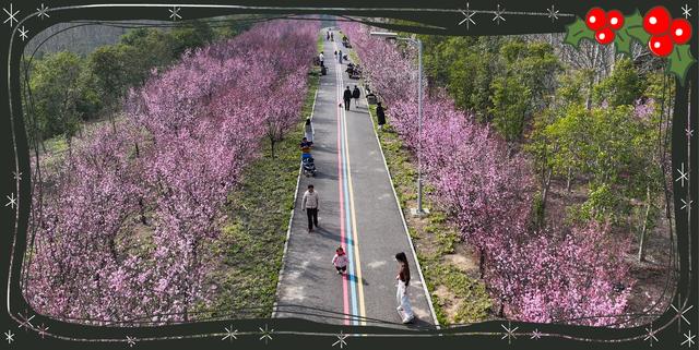 郑州春韵：百花盛放时，邀你共赴春宴