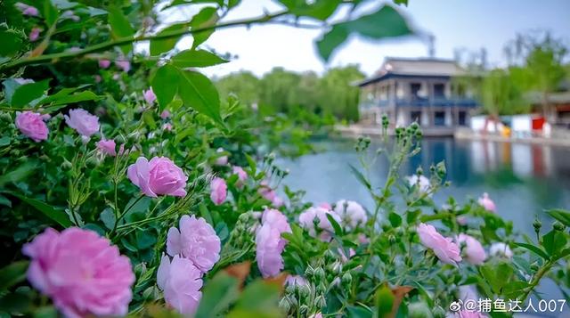 2025四季巡礼！100位寻美客邀你共绘最美泉城图鉴