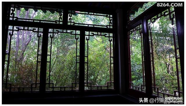 山东行游影记（8）—济南趵突泉（八）