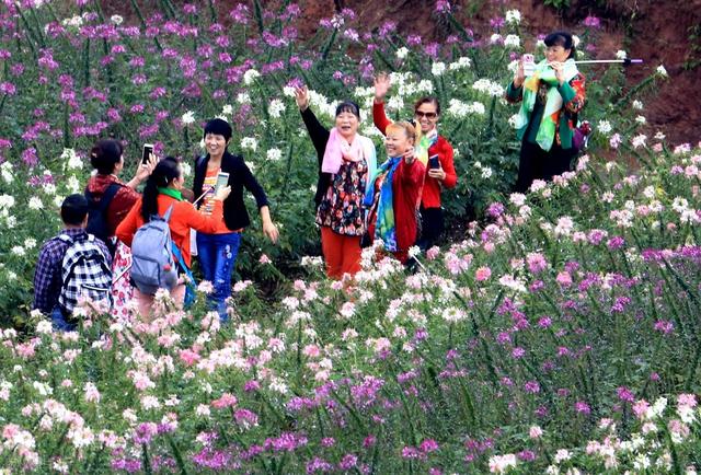 2025上半年旅游报告出炉，32亿人次出游，最大黑马竟是他们？