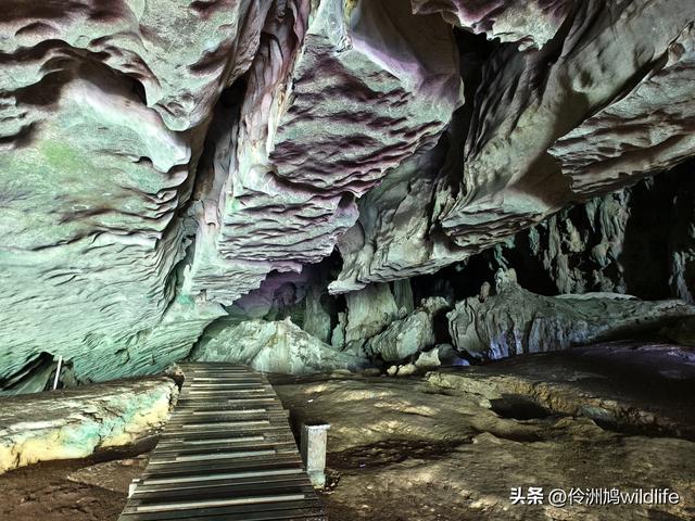 马来西亚(32)砂拉越州⑥世界遗产尼亚洞窟探险