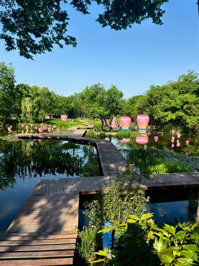 世界上只有中国浙江省杭州市才有的全球 “独一无二的10大奇景”