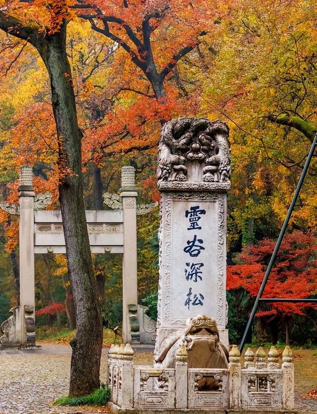 铜川人去南京逛了十天之后，这五件事真的没有想到