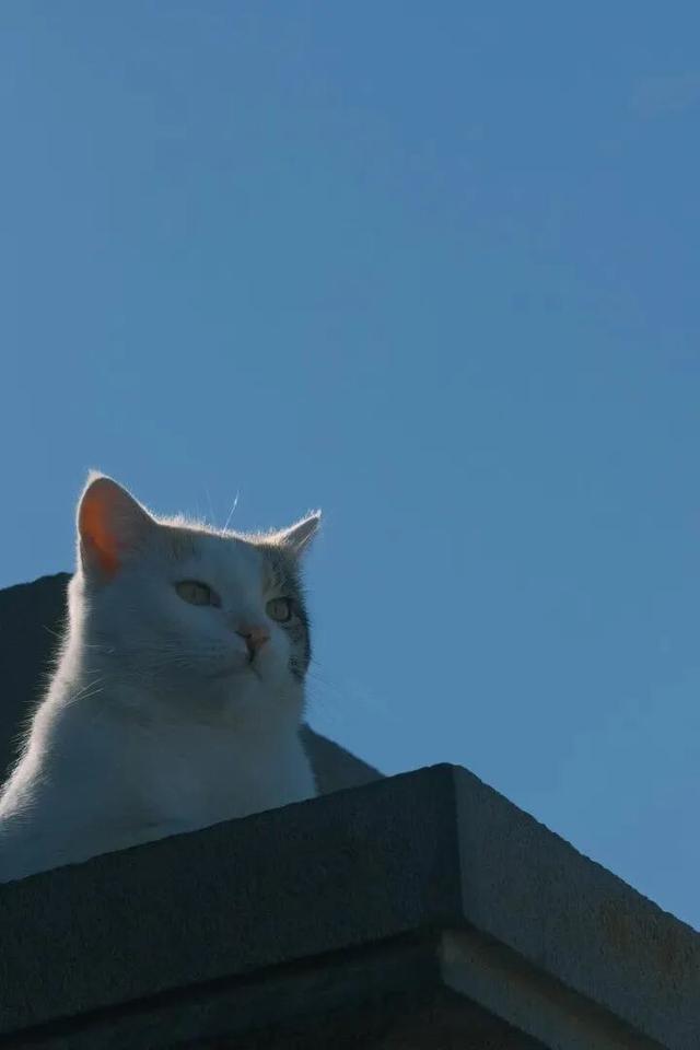 人均卡戴珊，这个忧伤又美丽的小国让我念念不忘