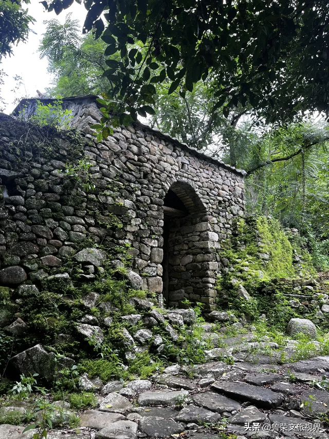 隐匿在广东的冬日秘境：恩平，一座20℃暖冬里的温柔小城