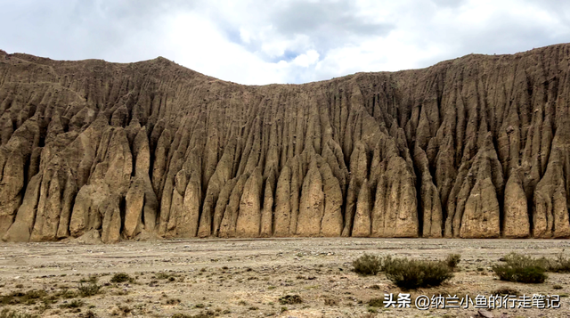 新疆这个小众景点，堪称最硬核：用两千年的时光讲述热血与忠诚