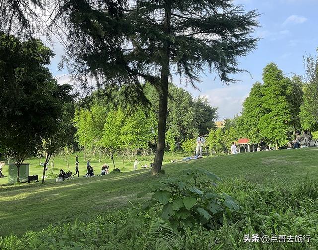 成都最美拍照公园，城市中的草原牧场，不要门票，地铁公交直达！
