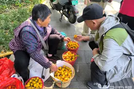 枇杷季果农自产自销，苏州这22个点位全天候开放图片