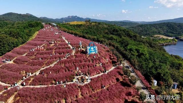 别错过！东沟“遇稻粉黛”景区新增打卡点