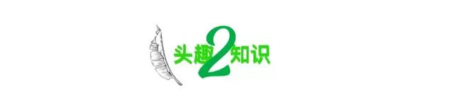 被挂上热搜的“超10万老人玩上瘾”事件，暴露当下社会残酷的现状