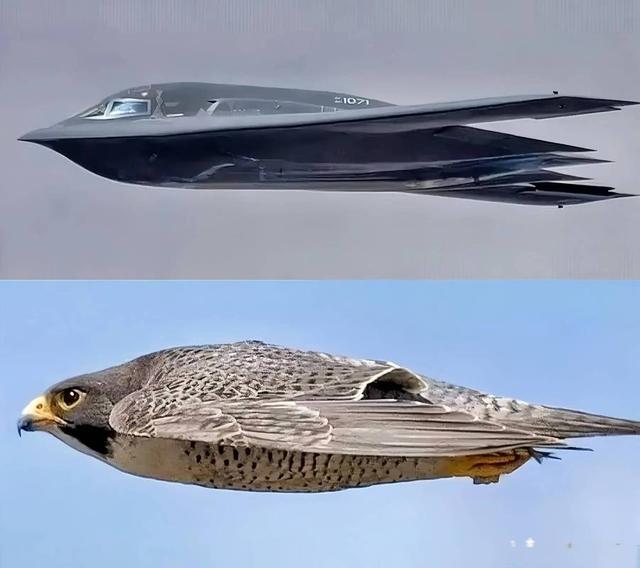 24亿美元一架，却连雨都不能淋！这款轰炸机，究竟是不是智商税？