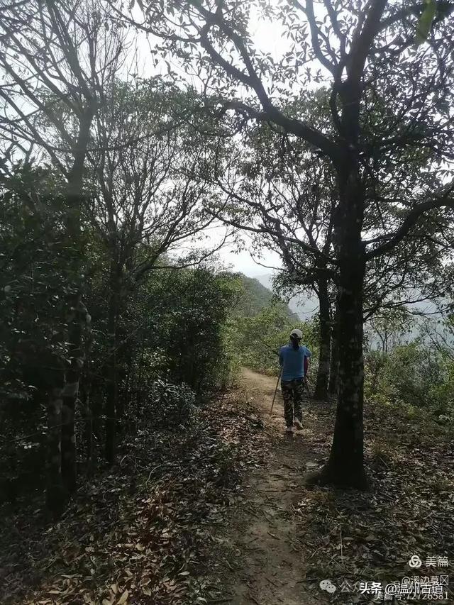 穿越野线的独特乐趣!这条雁荡山经典徒步线路你可去过?