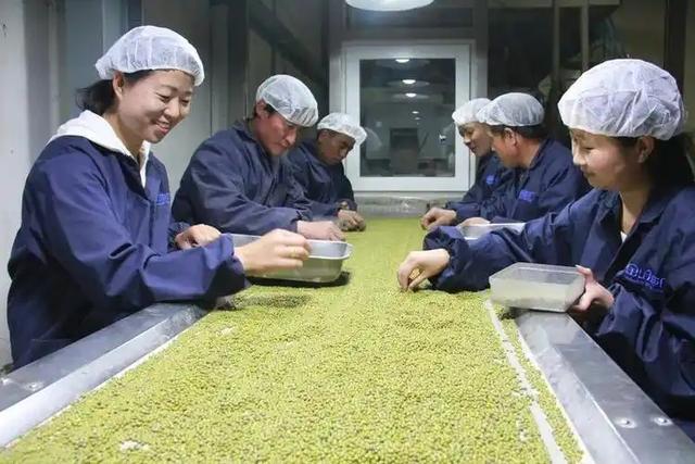 探秘“东方人类故乡”：河北阳原县周末漫游，穿越百万年时空之旅