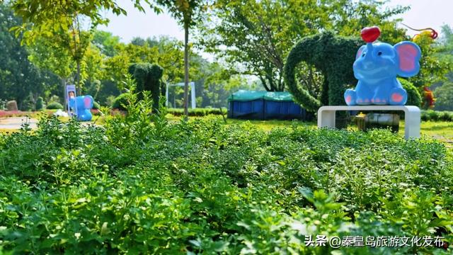 秦皇岛山海关金秋长城菊展开展在即，布展现场抢先看！