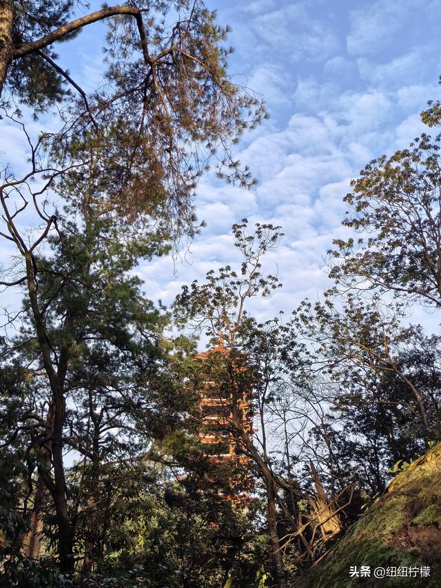 户外徒步之挑战缙云九峰，从健身梯道到狮子峰，走了四小时