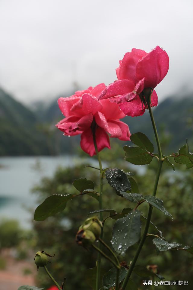 文县天池，深山峡谷中被秋天吻过的仙境