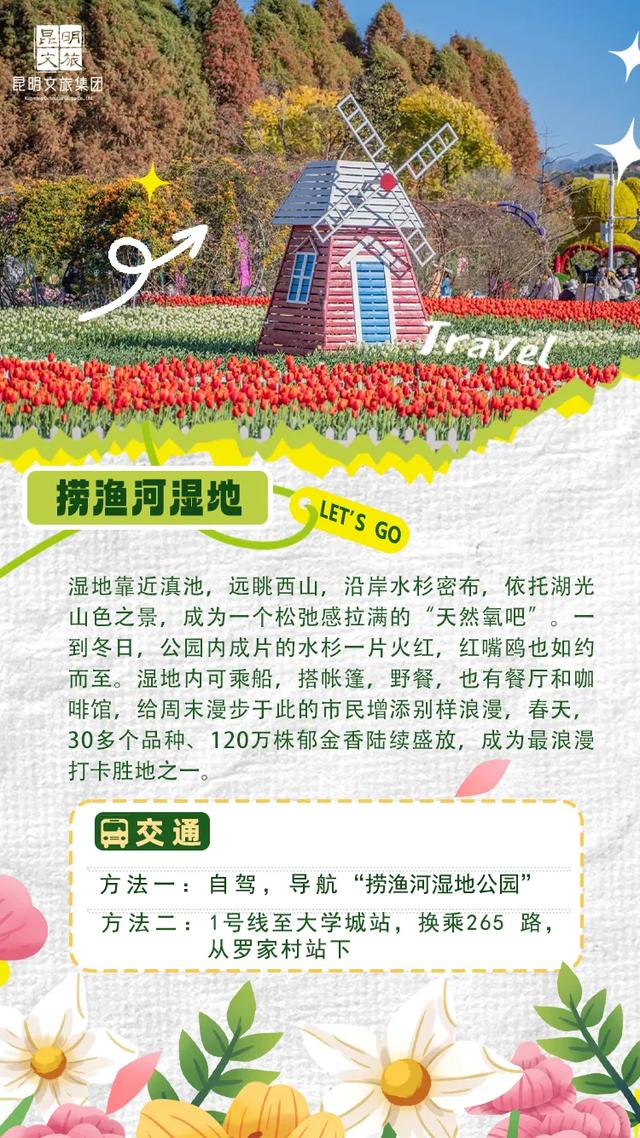 “人在画中游”！昆明这个湿地公园成“全民健身”热门打卡地